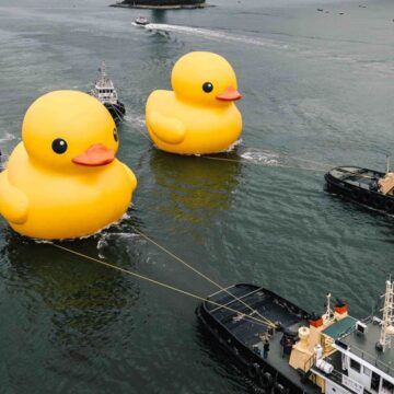 FOTO. Celebra Rubber Duck din Hong Kong se întoarce în dublu exemplar. Rațele supradimensionate fac deliciul turiștilor