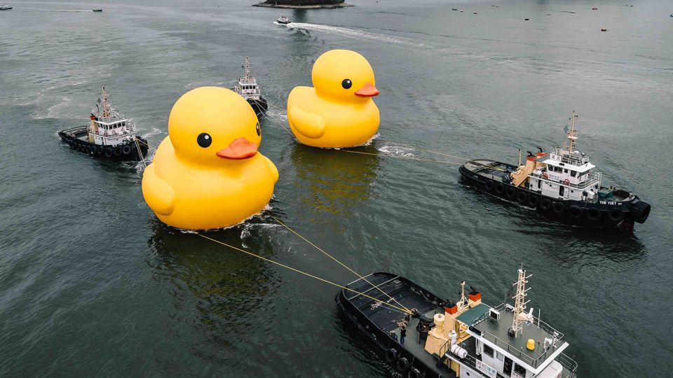 FOTO. Celebra Rubber Duck din Hong Kong se întoarce în dublu exemplar. Rațele supradimensionate fac deliciul turiștilor