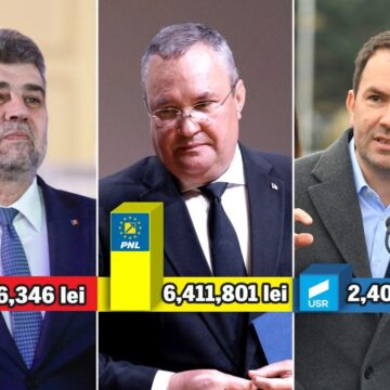 Cu Ochii Pe Sondaje De 3,5 Milioane De Euro. Firmele Care Au încasat Bani De La PNL și PSD Pentru A Afla Ce-și Doresc Românii