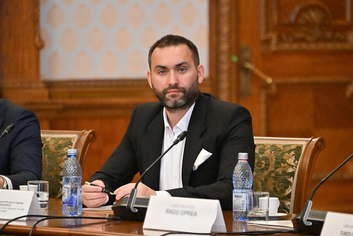 Cum A încercat Un Senator PNL Să-i Păcălească Pe Colegii De La PSD Care Au Cerut Revocarea Unui Liberal Din Consiliul Național De Integritate. „Nu Ne Lua De Proști! Cum Să Ai Majoritate Cu 6 Voturi Din 13?”