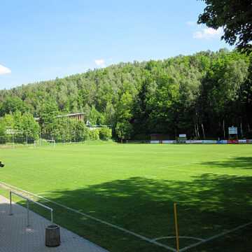 jpg.jpg Albinele Au Oprit Un Meci De Fotbal Din Germania, După Ce Un Jucător A Tras Din Greșeală într-un Stup