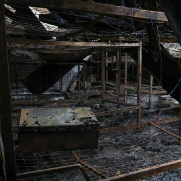 „M-am Uns Cu Sânge, Ca Să Mă Ascund”. Mărturiile Supraviețuitorilor Atacului Cu 41 De Morți De La O școală Din Uganda