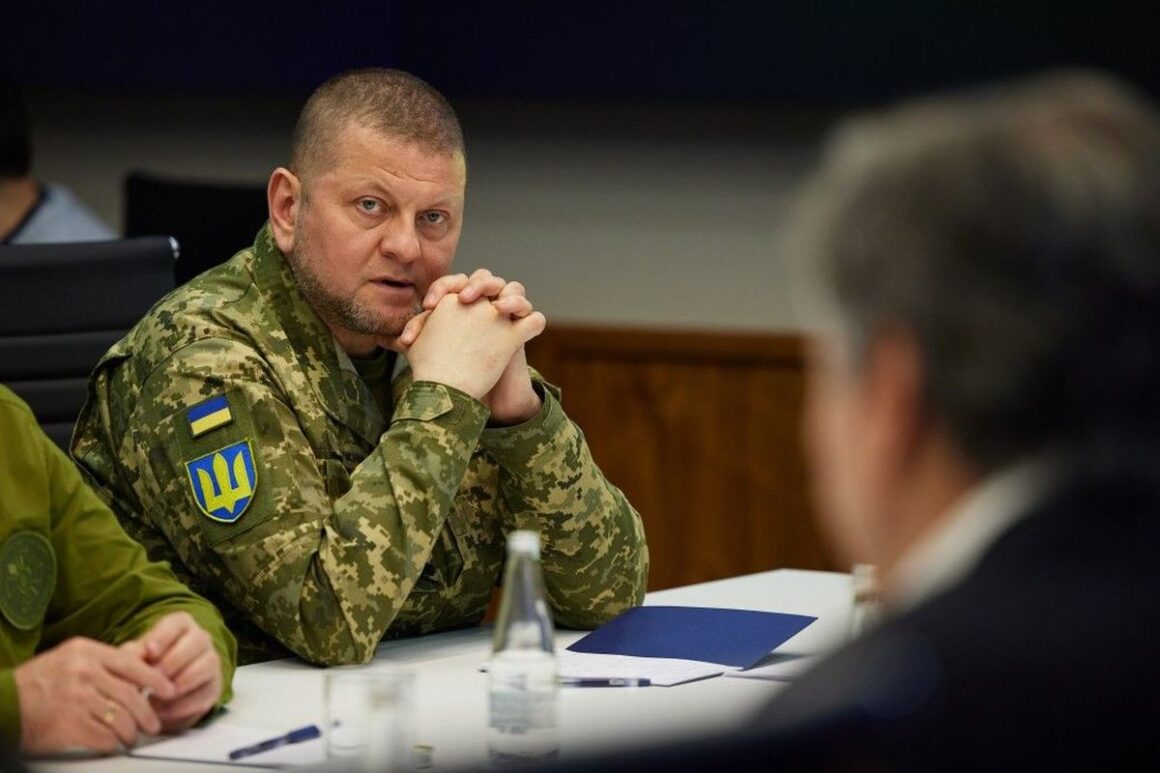 „Încredere Totală”. Cum A Ajuns șeful Armatei Ucrainene Valeri Zalujnîi Să Fie La Fel De Popular Ca Zelenski și De Ce Criticile îl Ocolesc, Deocamdată