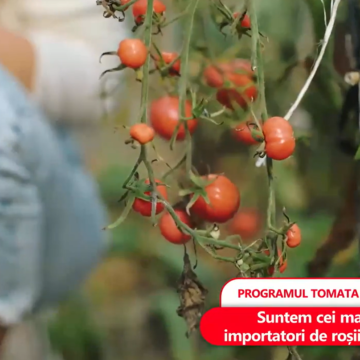 România este cel mai mare importator de roșii din Turcia. 35% din veniturile lunare ale românilor se duc pe mâncare