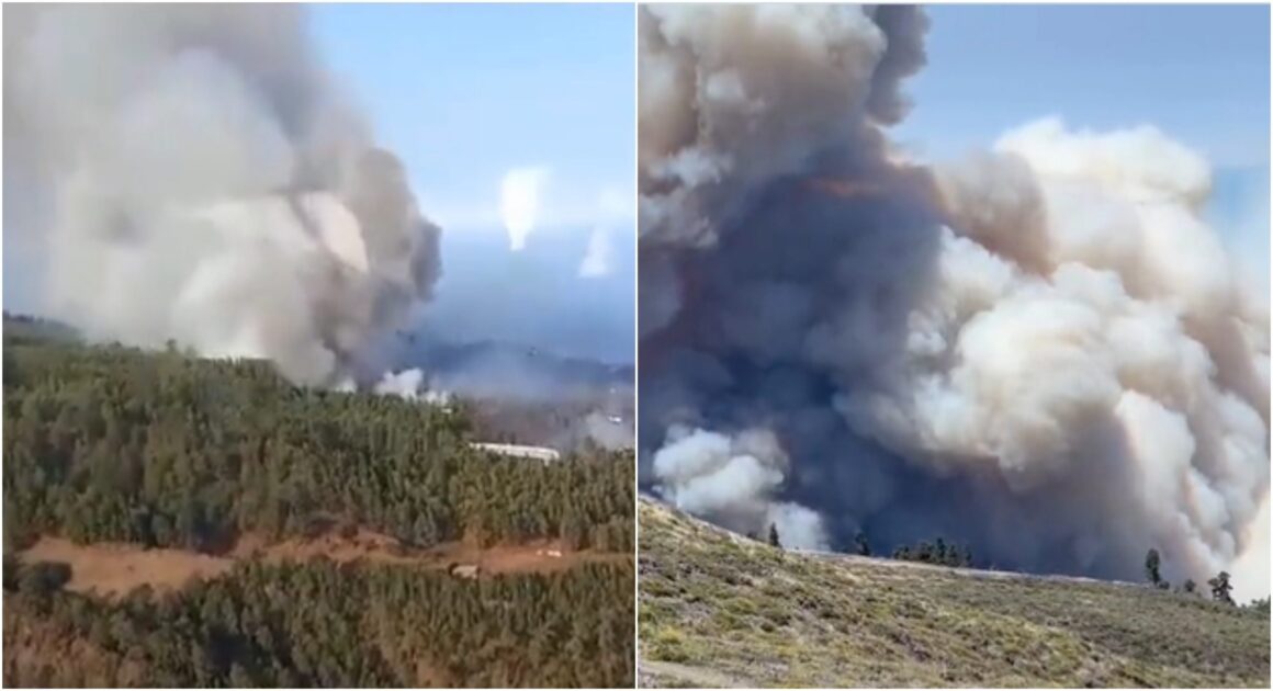 Incendiu Uriaș De Vegetație Pe Insula Spaniolă La Palma. Sute De Oameni Au Fost Evacuați