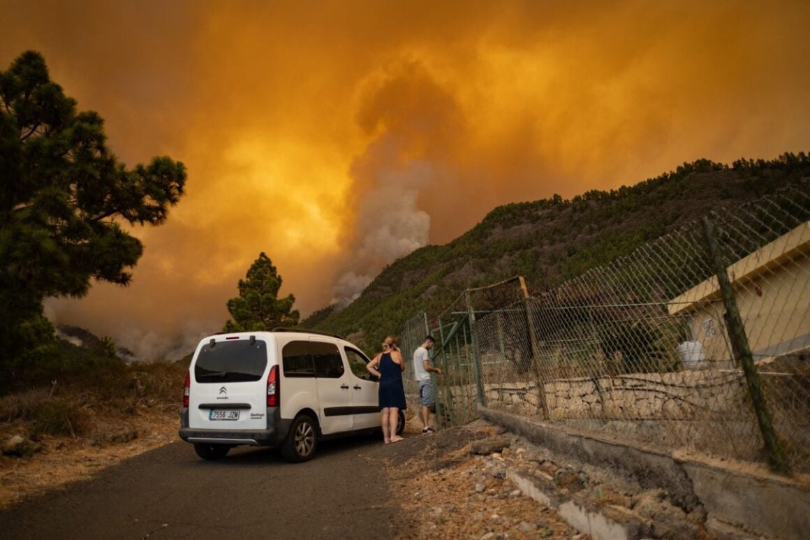 Incendiu De Vegetație Pe Insula Tenerife. Cinci Sate Au Fost Evacuate. Focul „este Puternic și Se Află într-o Zonă Complicată”