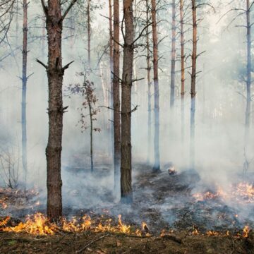Pământul Devine Tot Mai Nesigur Pentru Omenire, Arată Prima „verificare științifică Completă A Stării De Sănătate” A Planetei