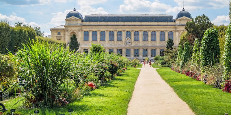 paris-1.jpg Ce vizitezi în Paris săptămână asta? Noi expoziții și escapade în lumea virtuală a oceanelor te așteaptă în orașul luminilor