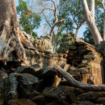 Când oamenii pleacă, natura își revine. Cum arată locurile care au renăscut de când sunt abandonate