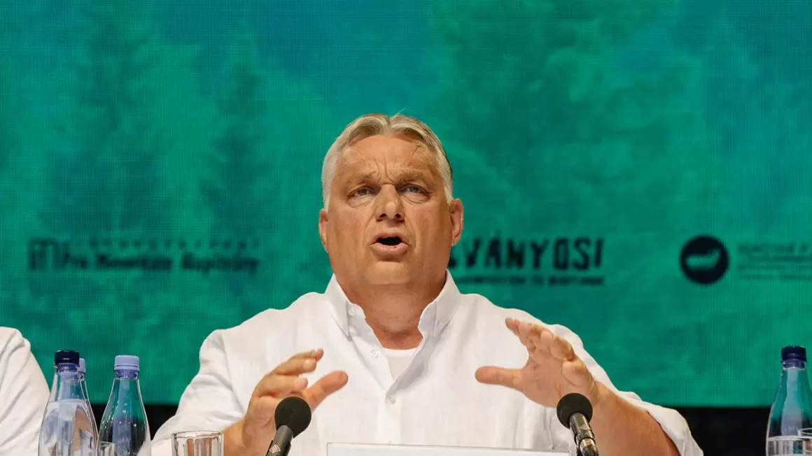 Viktor Orban Vrea O Nouă Lege Pentru A Apăra „suveranitatea” Ungariei. Criticii Se Tem Că Este Un Atac La Adresa Presei și ONG-urilor