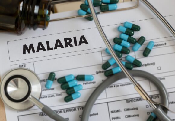 Ce Este Malaria – Cauze, Simptome, Evoluţie
