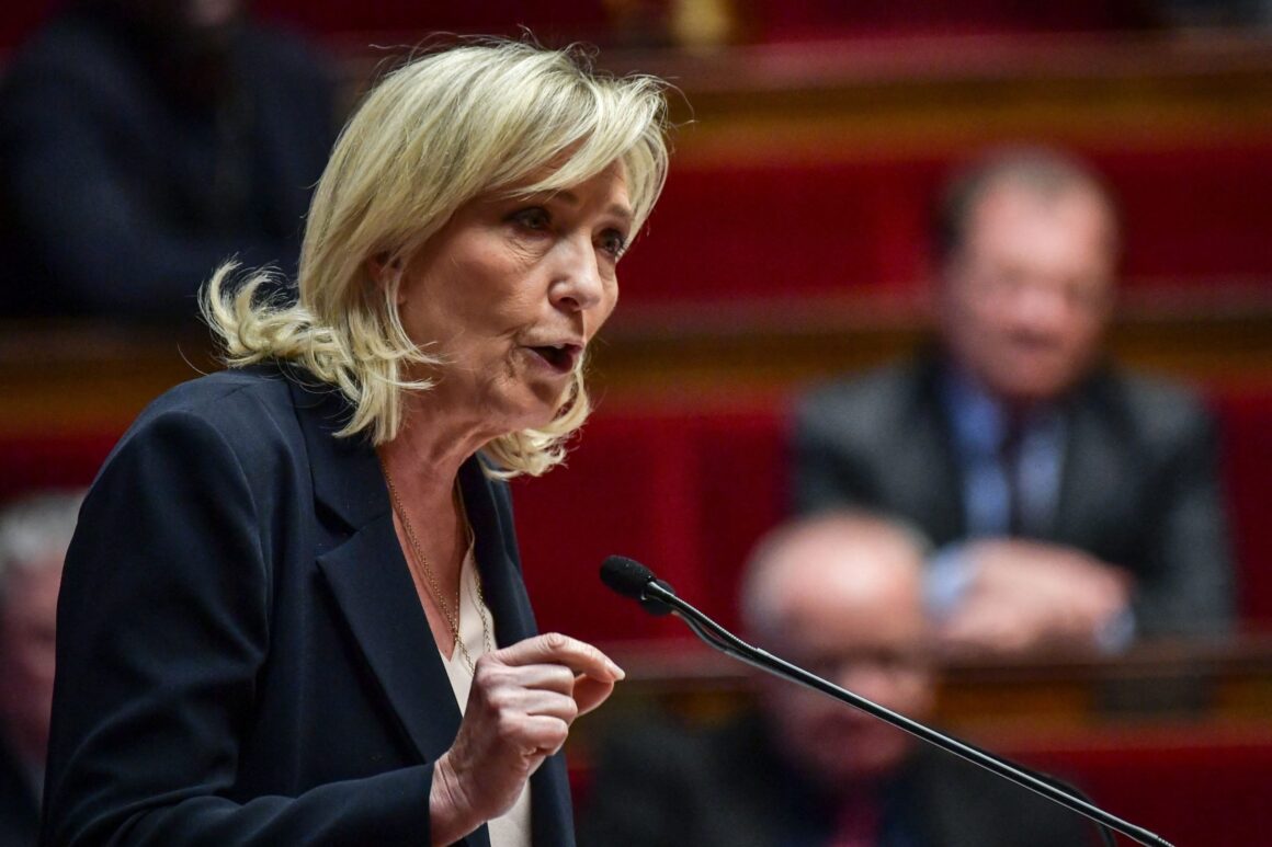 Tensiuni între Principalele Partide De Extrema Dreaptă Din Franța și Germania. Marine Le Pen Cere Ruperea Legăturilor Cu AfD: A Devenit Prea Toxic