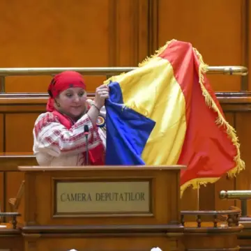 Sondaj: PSD, Lider La Intenția De Vot La Alegerile Parlamentare. Partidul Dianei Şoşoacă Ar Urma Să Intre în Parlament. AUR, Aproape De PNL