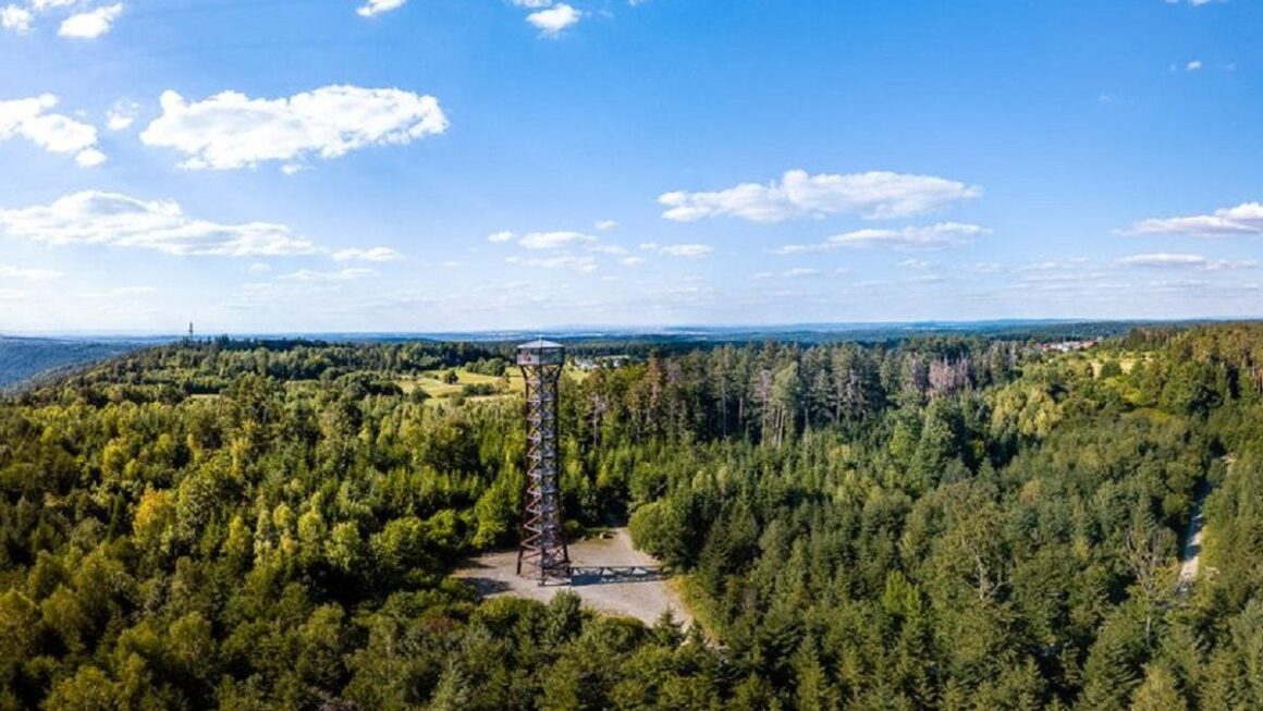 Trei Fete De 13 și 14 Ani Au Fost Găsite Moarte Lângă Un Turn De 40 De Metri Din Mijlocul Pădurii, în Germania