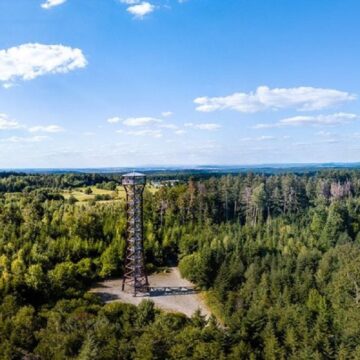 Trei Fete De 13 și 14 Ani Au Fost Găsite Moarte Lângă Un Turn De 40 De Metri Din Mijlocul Pădurii, în Germania