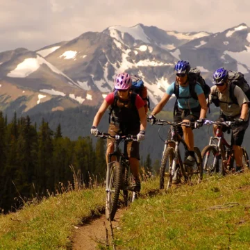 Bicicleta.webp.webp Europa este plină de destinații pentru ciclism