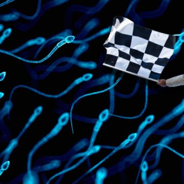 Începe cea mai atipică cursă din lume: de spermatozoizi