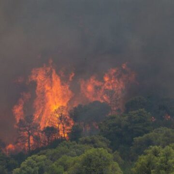 În ultimele 24 de ore au izbucnit 50 de incendii în Grecia