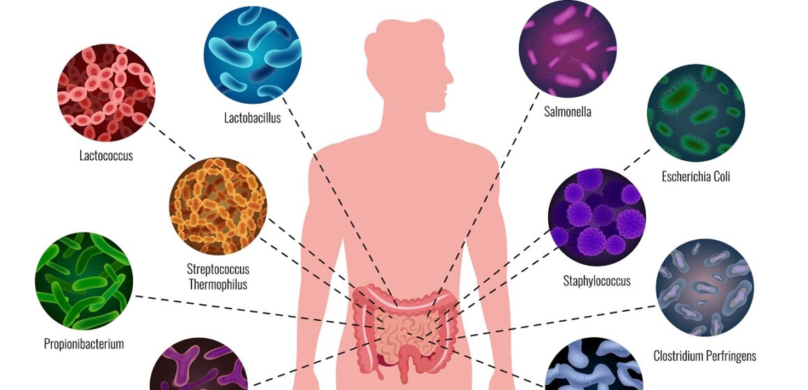 Clostridium difficile
