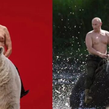 Imaginea lui Dpnald Trump pe un urs polar seamă cu fotografia lui Vladimir Putin