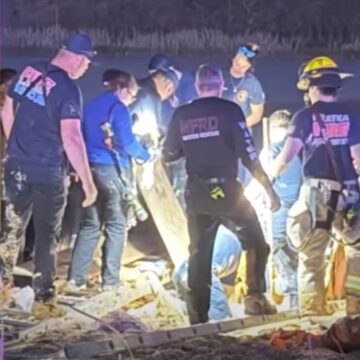 Bărbat dispărut, salvat după ce a rămas blocat zile întregi în nisipuri mișcătoare, în Florida