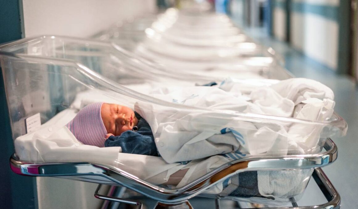 „Să importăm din Vietnam și Sri Lanka”