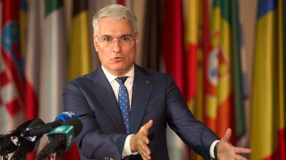 Dragoș Pîslaru spune că Celine Gauer, șefa PNRR, decide la București soarta celor 231 de milioane de euro