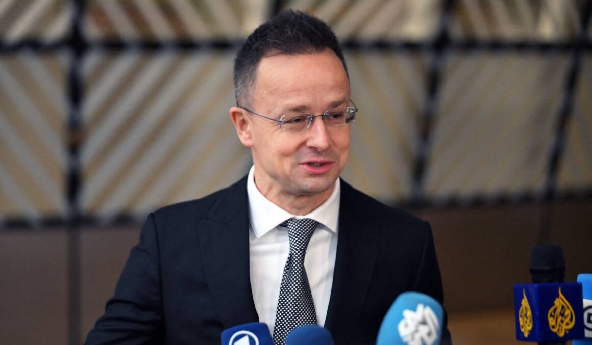 UDMR a început să fie atacat ca un animal, spune ministrul de Externe al Ungariei