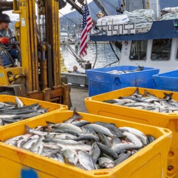 Șase studenți au plecat la muncă sezonieră în Alaska și s-au întors după patru luni cu până la 15.000 de dolari