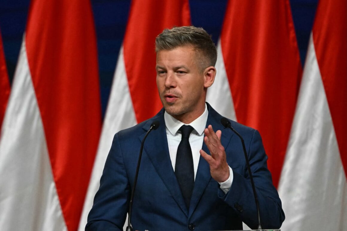 peter-magyar-1-1.jpg „Propagandă de tip Coreea de Nord”