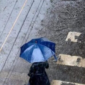 prognoza-meteo-pentru-20-21-si-22-septembrie-vreme-rece-si-ploioasa-18549825-e1743078361494-740x415.jpg Cod galben de ploi în București, Ilfov și alte trei județe
