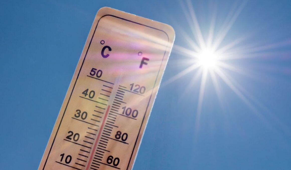 termometru-canicula-40-grade-celsius.jpg Un „dom de căldură” va aduce temperaturi cu 16 grade mai mari decât cele normale la finalul lunii mai, deasupra Europei