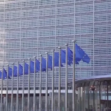 „România o resimte din plin, este țara europeană lovită cel mai mult. Noi nu ar fi trebuit să intrăm niciodată în recesiune”