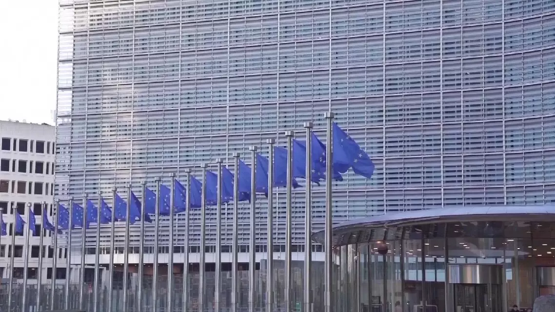 ue.webp.webp „România o resimte din plin, este țara europeană lovită cel mai mult. Noi nu ar fi trebuit să intrăm niciodată în recesiune”