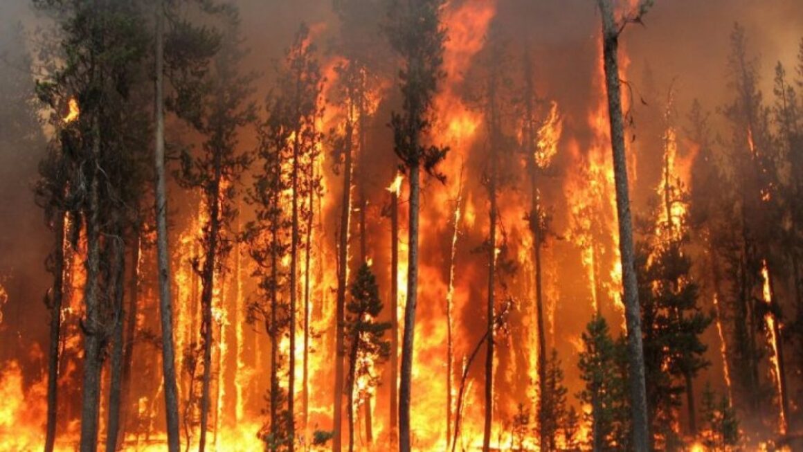 incendii-vegetatie-spania-1200x675.jpg Tragedie în Spania: Cel puțin 12 oameni au murit și alte 23 sunt date dispărute în urma incendiilor de vegetație din Almería. Nicușor Dan, mesaj prompt de solidaritate: „Sunt profund întristat”
