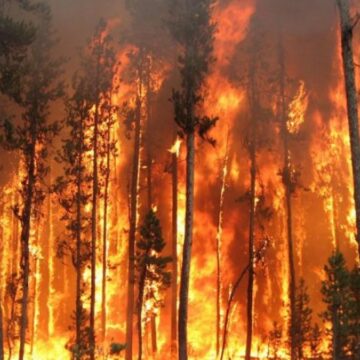 incendii-vegetatie-spania-1200x675.jpg Tragedie în Spania: Cel puțin 12 oameni au murit și alte 23 sunt date dispărute în urma incendiilor de vegetație din Almería. Nicușor Dan, mesaj prompt de solidaritate: „Sunt profund întristat”