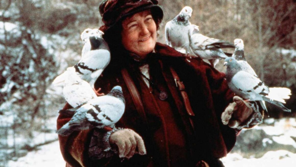 pigeon-1200x675.jpg Brenda Fricker, „doamna cu porumbeii” din Home Alone 2, a murit la 81 de ani