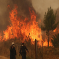 Două persoane au murit după ciocnirea a două elicoptere care participau la stingerea unui incendiu de vegetație în Grecia. DSU precizează că pompierii și aeronavele României nu sunt implicați în incident