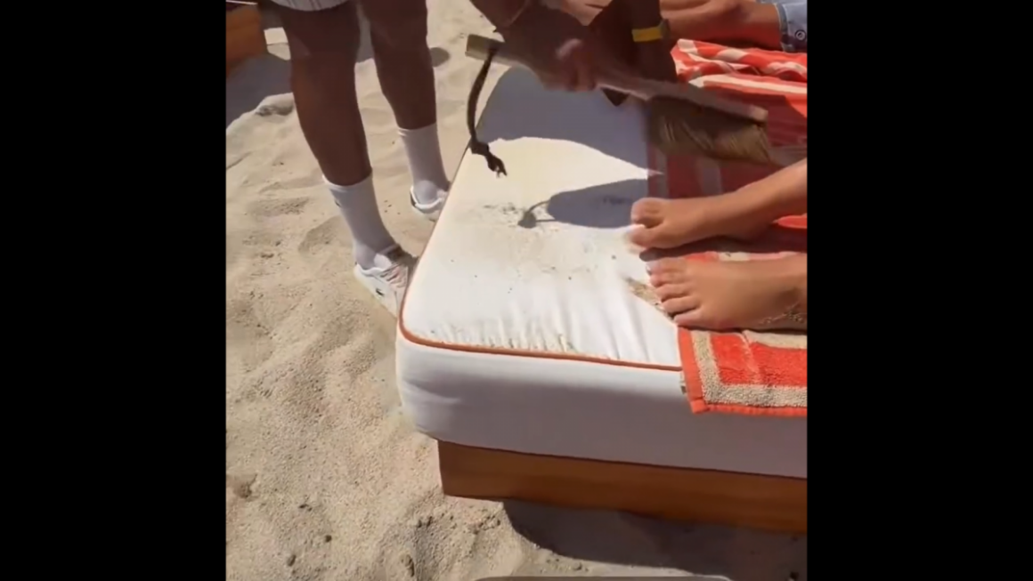 Cât costă luxul pe Riviera Franceză? La un beach club exclusivist, angajații îndepărtează chiar și nisipul de pe picioarele clienților