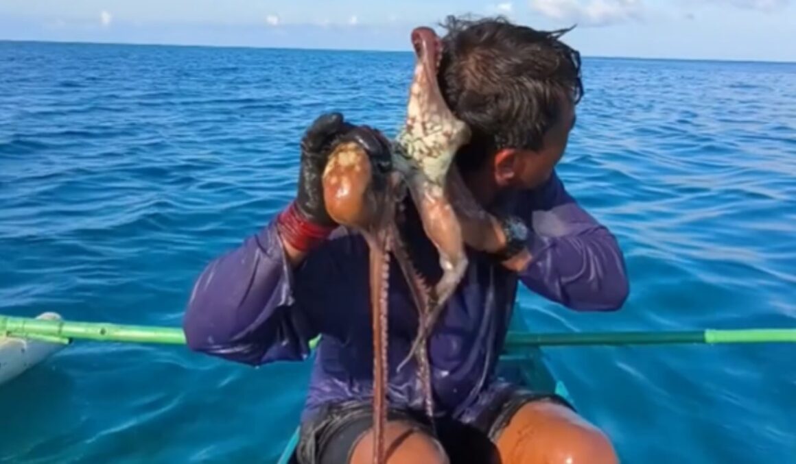 pescar-filipine-atacat-caracatita.jpg Momentul în care o caracatiță s-a agățat de fața unui pescar, în Filipine