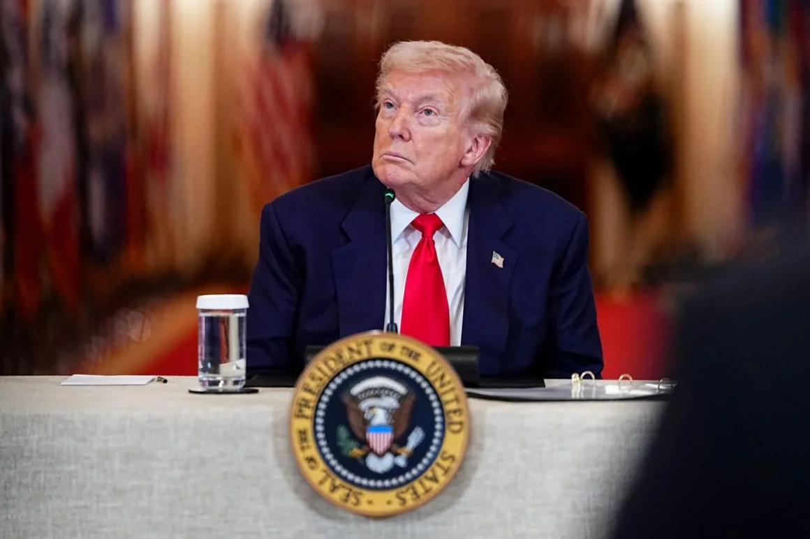 69ad1b4d5ea34.image_.webp.webp Trump invocă securitatea națională