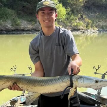 Cea mai veche specie de pește hibrid, descoperită în Texas