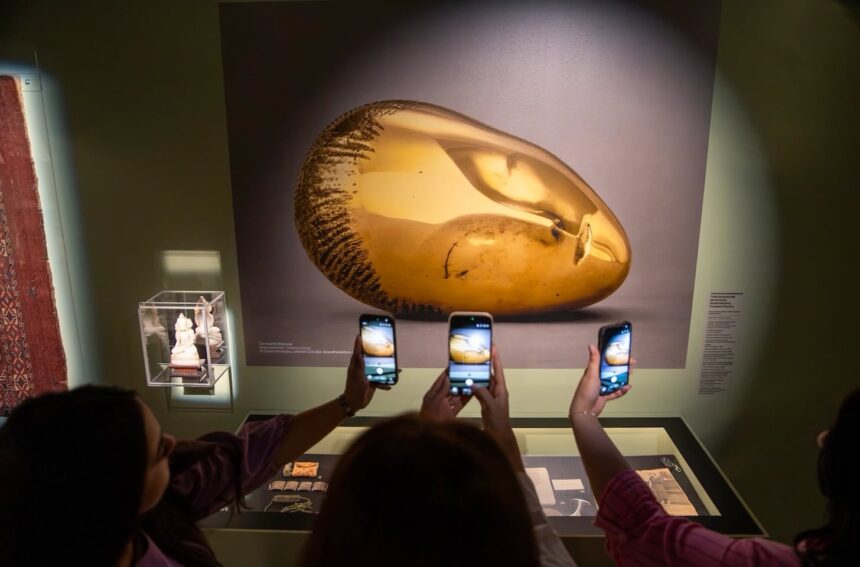 813923193_18573039931070005_2006770468555033418_n.jpg „Brâncuși și muzele sale” la Art Safari