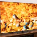 televizoarele LG colectează în fundal date audio și de Wi-Fi chiar și atunci când sunt oprite
