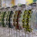 Loto 6/49 din 15 octombrie 2026. Report de peste 2,74 milioane de euro la 6/49, categoria I