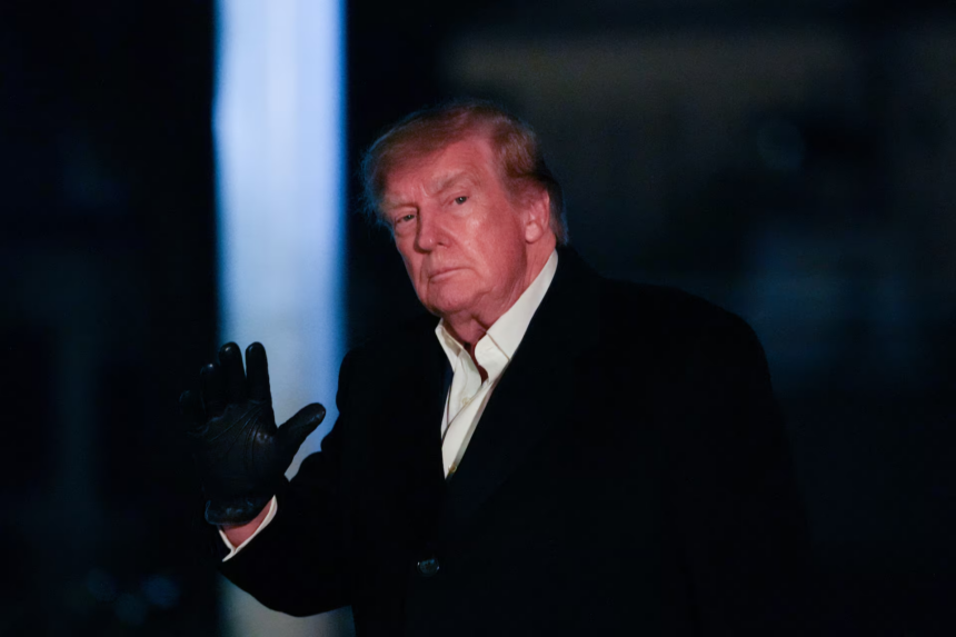 Trump anunță că va organiza o întâlnire cu Putin și Zelenski