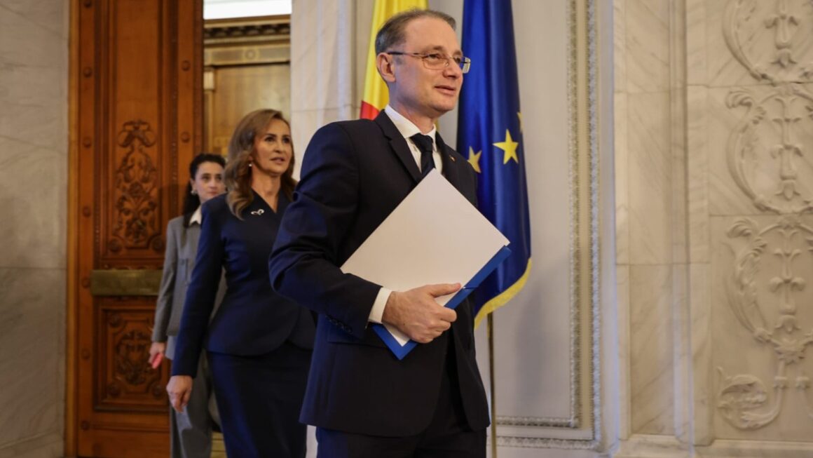 Cine este Mihaela-Ilincuta Stefan-Simion, directorul de cabinet al premierul Luca Niculescu